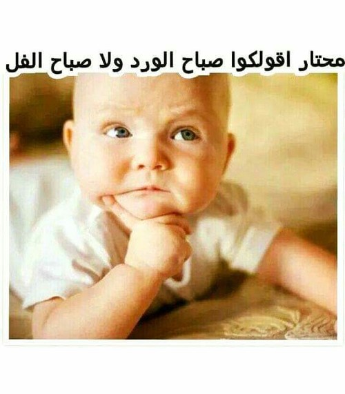 صباحيات مضحكة