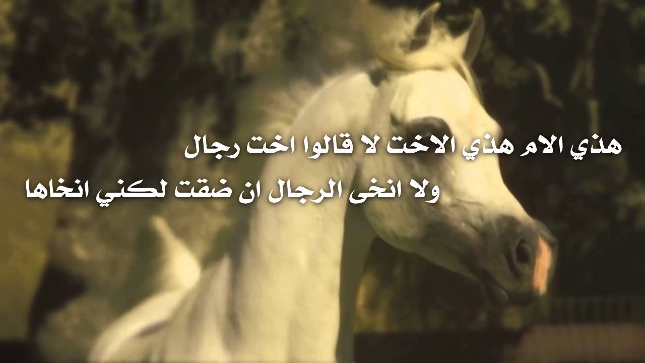 شعر مدح الرجال 97 10