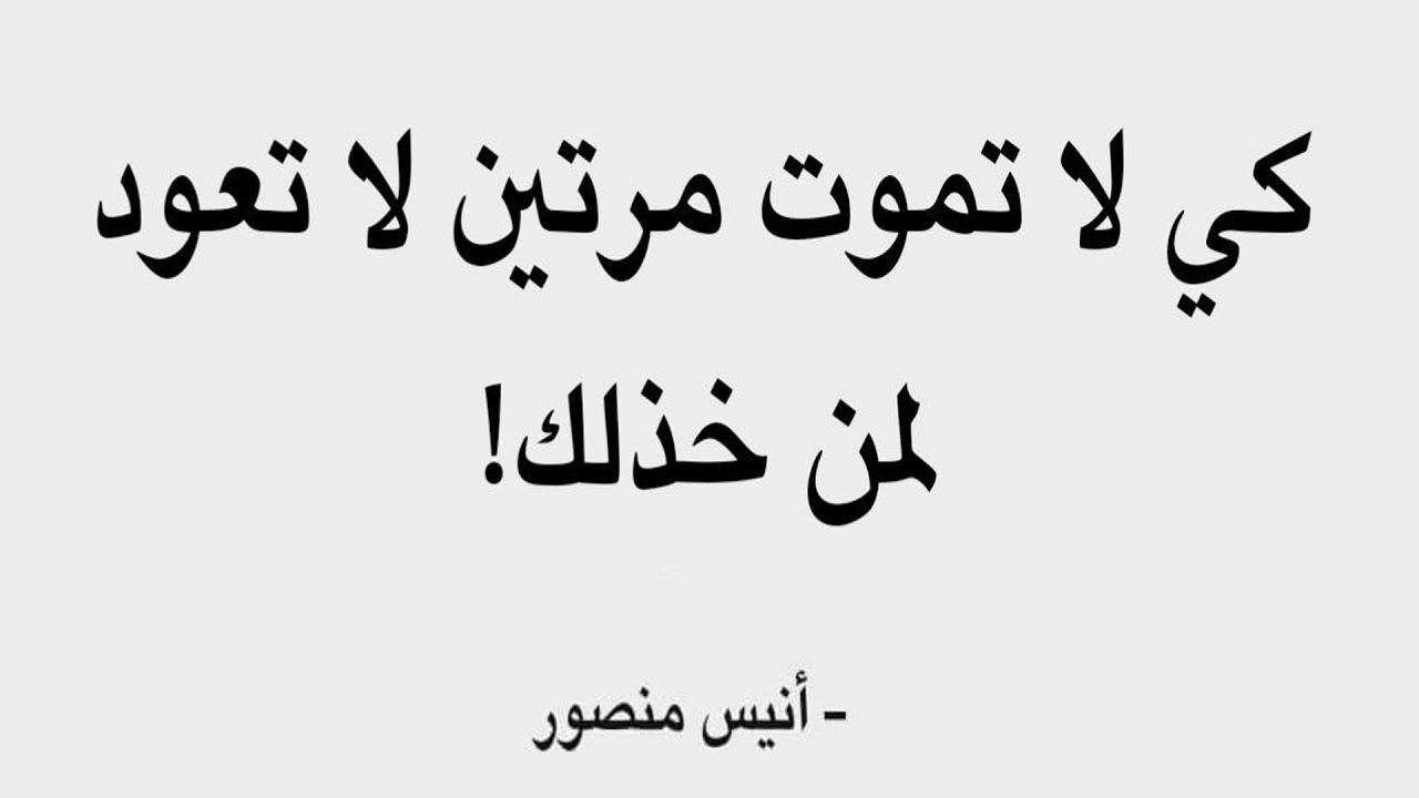 كلام حكم قصير، اجمل العبارات المقتبسة 6736 10