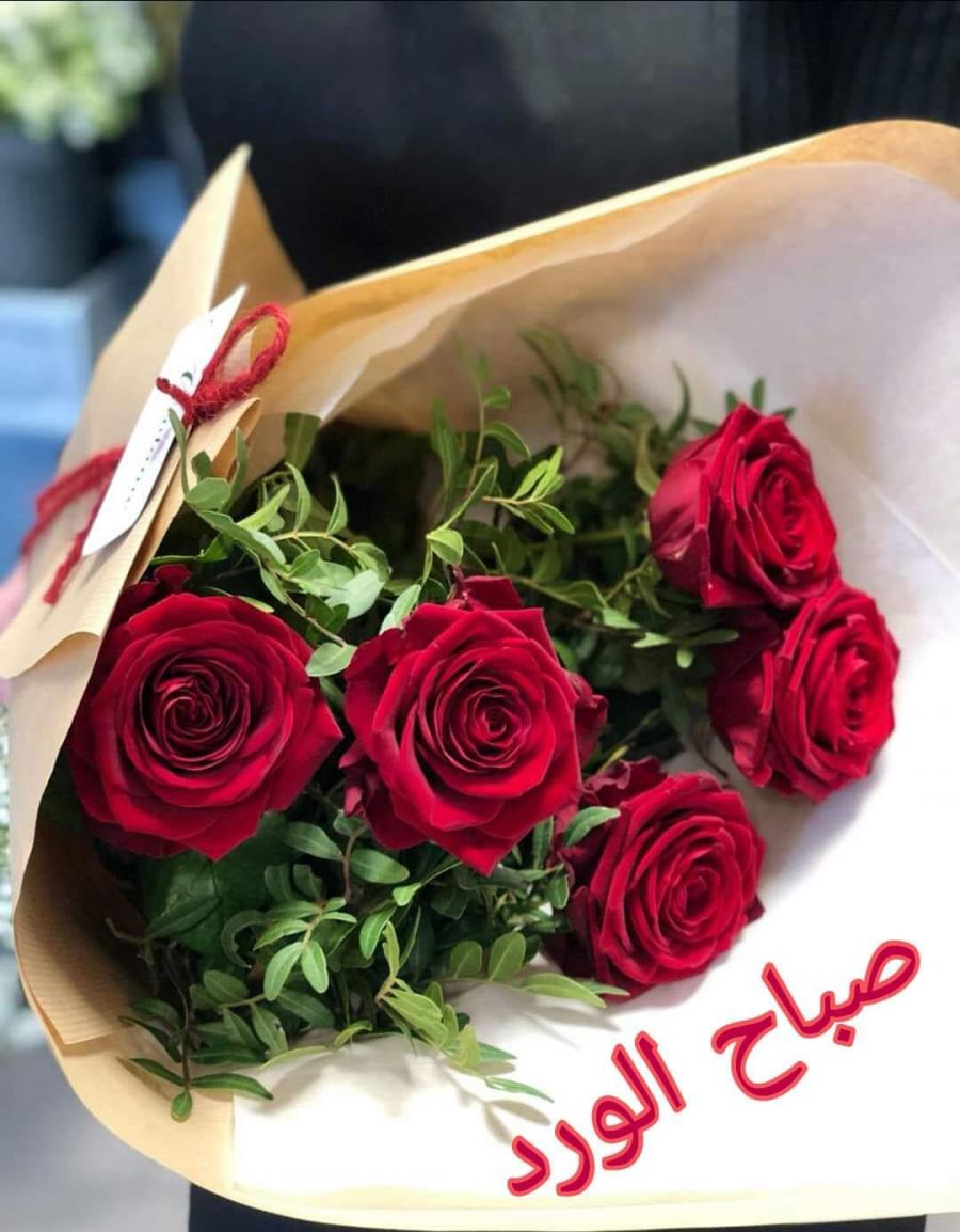 صباح نور 1250 2