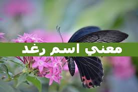 معنى اسم رغد 1419 2