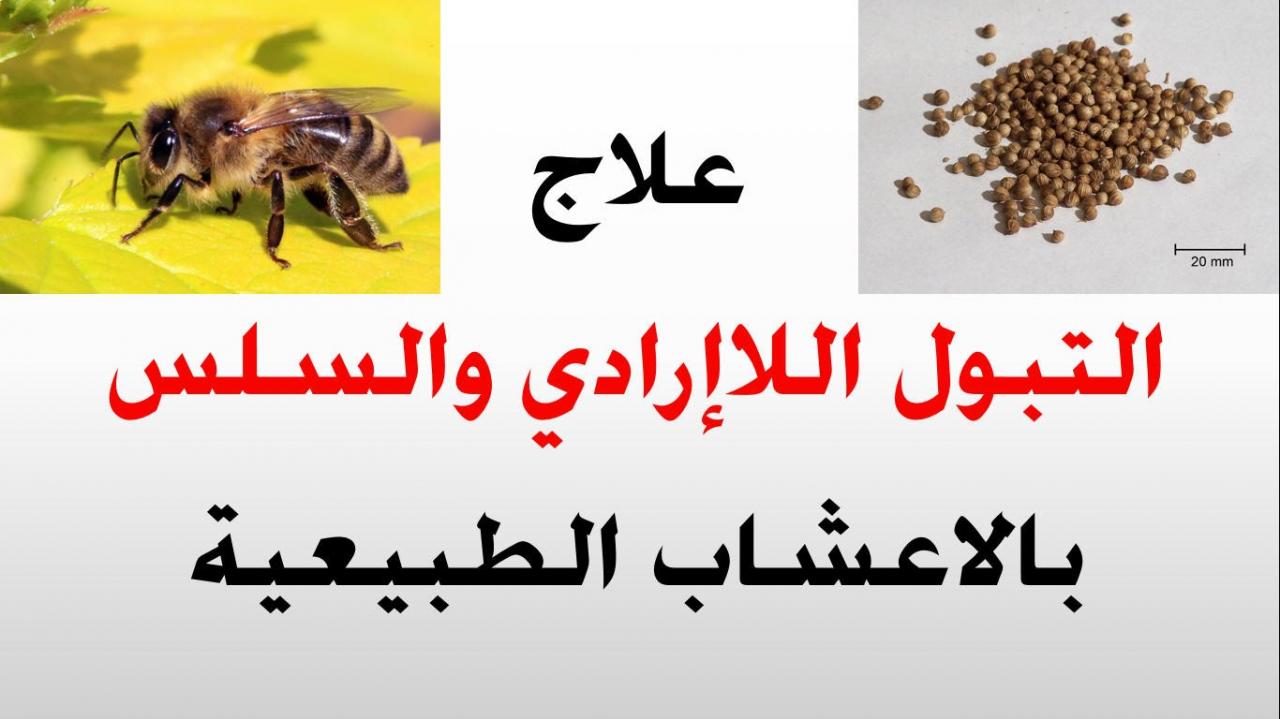 علاج كثرة التبول بالاعشاب 1291 2