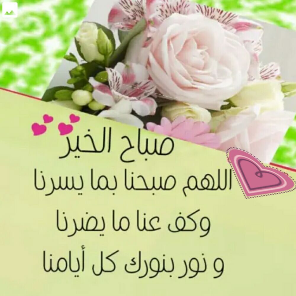 صباح نور 1250 5