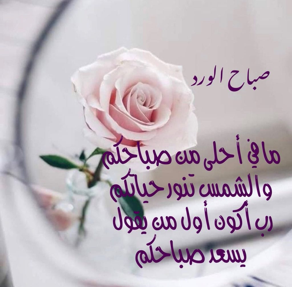 ورد صباح الخير 2692 9