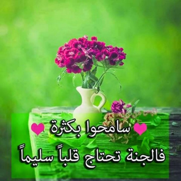 زهور الكلمات-احلي كلمات لحياة حلوة 780 3