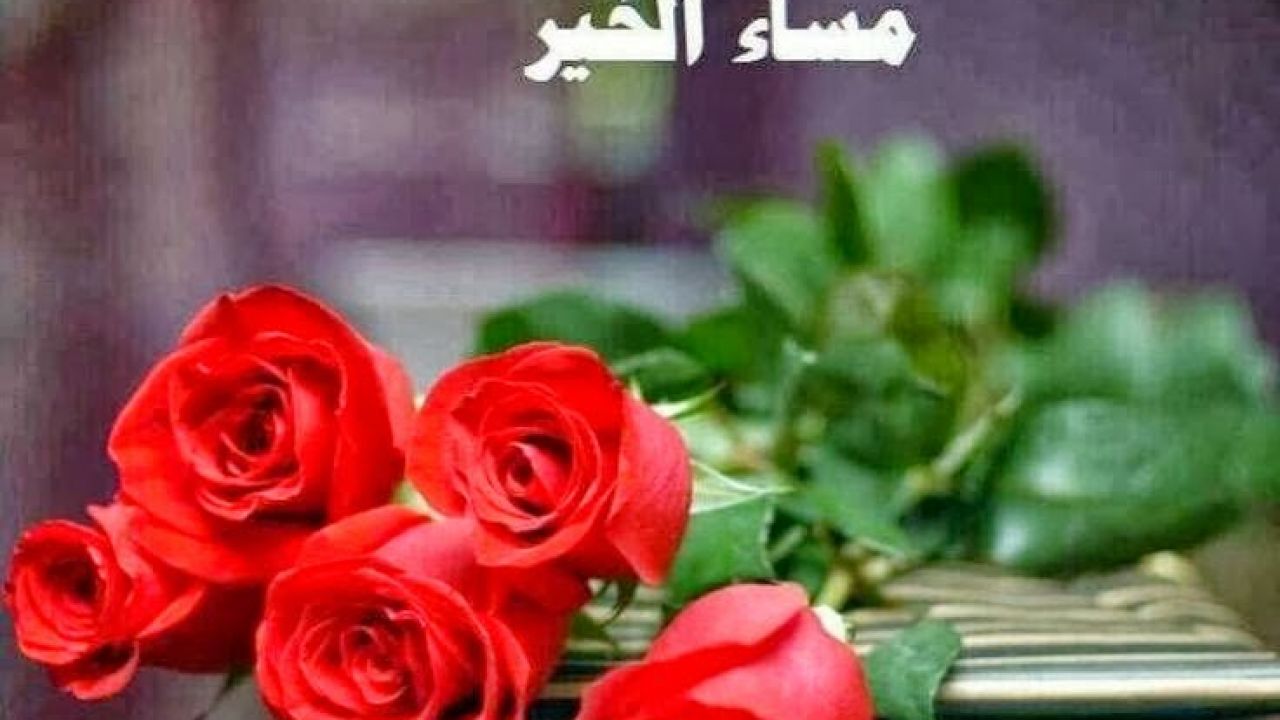 مساء الخير كلمات 2352 9