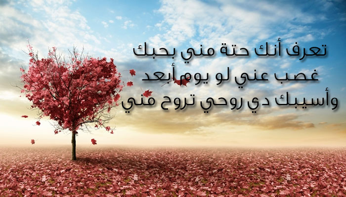 رسائل حب وغرام - عبرات قويه جدا عن الغزل 442 1