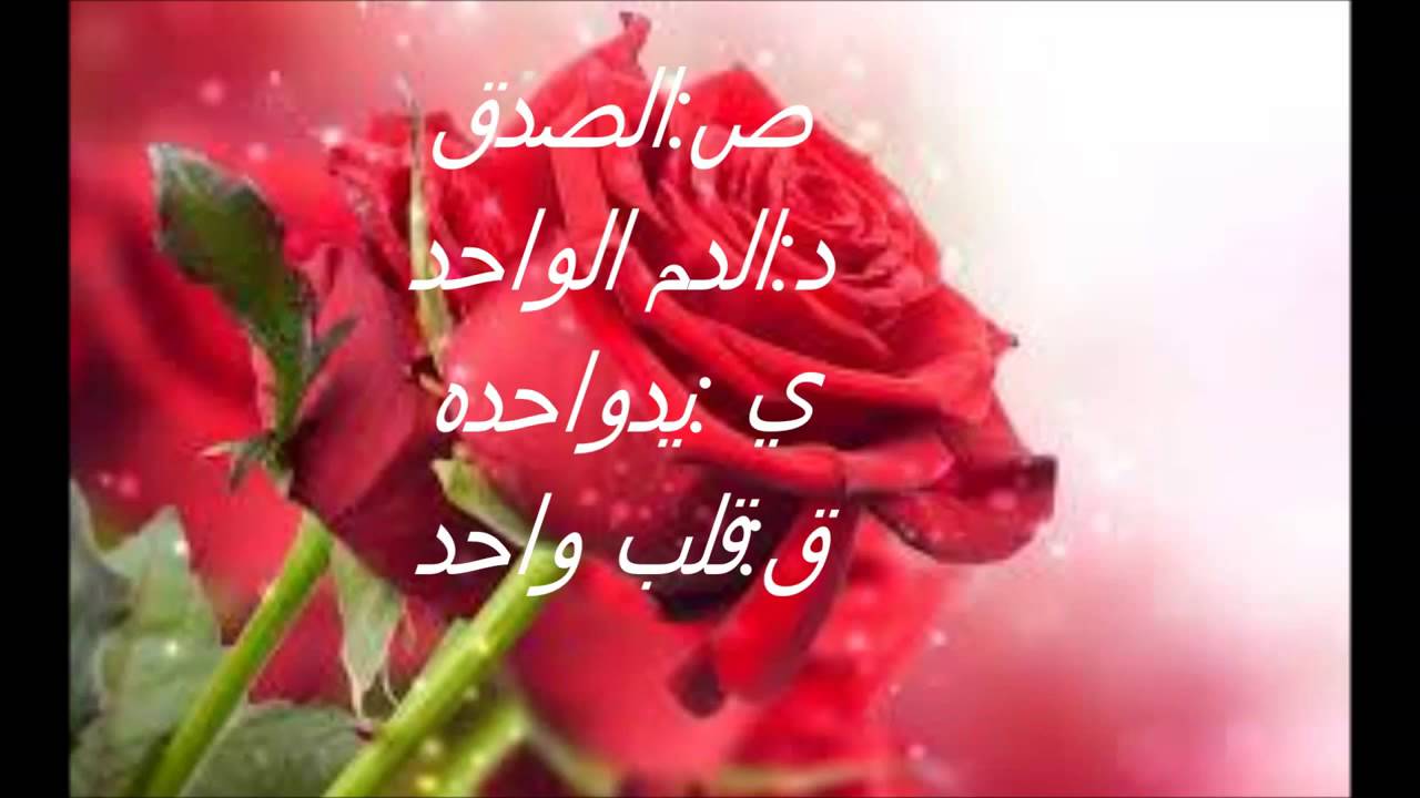 شعر عن الاخوة والصداقة 103 13