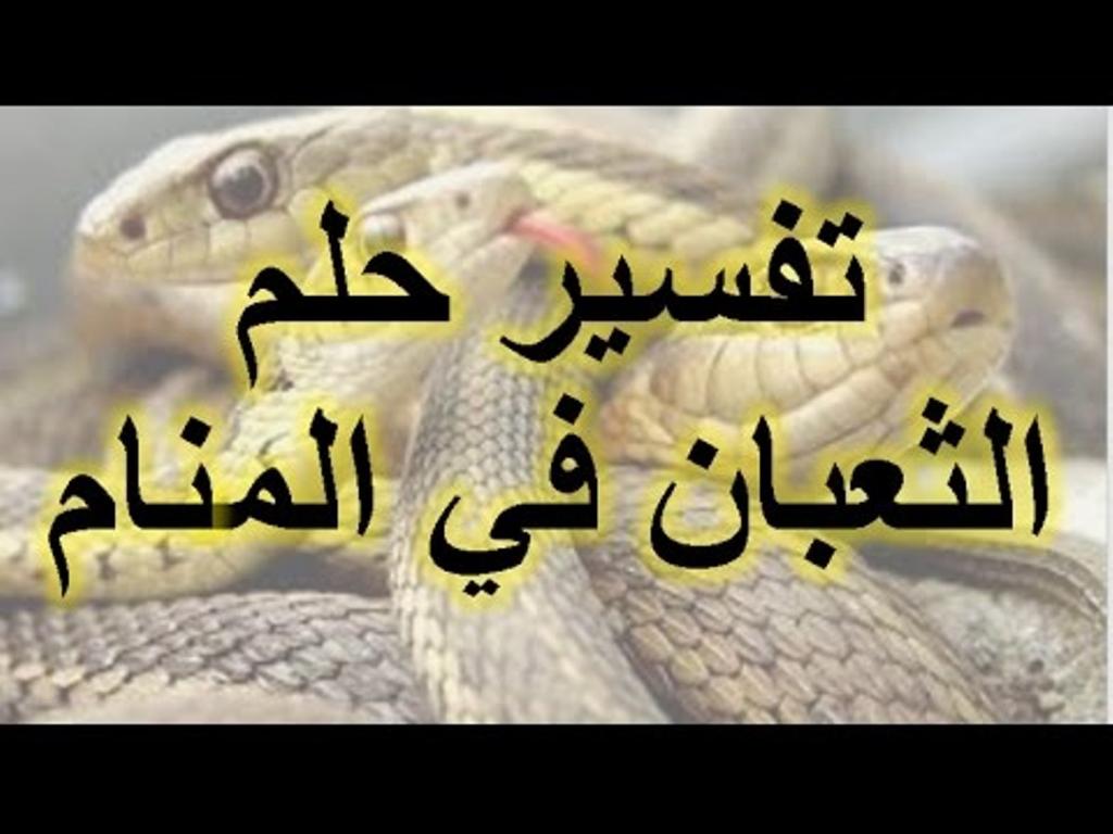 معنى ثعبان في الحلم 6939 2