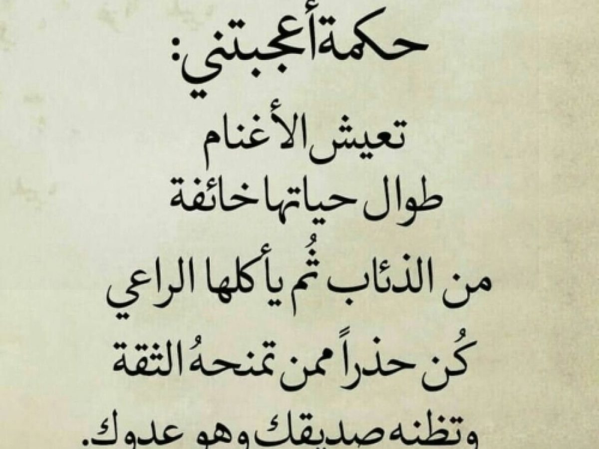 حالات للواتس 1916 1