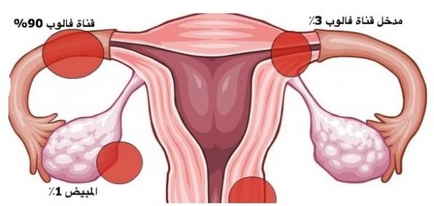 قناة فالوب والحمل , دور قناه فالوب لتخصيب البويضات