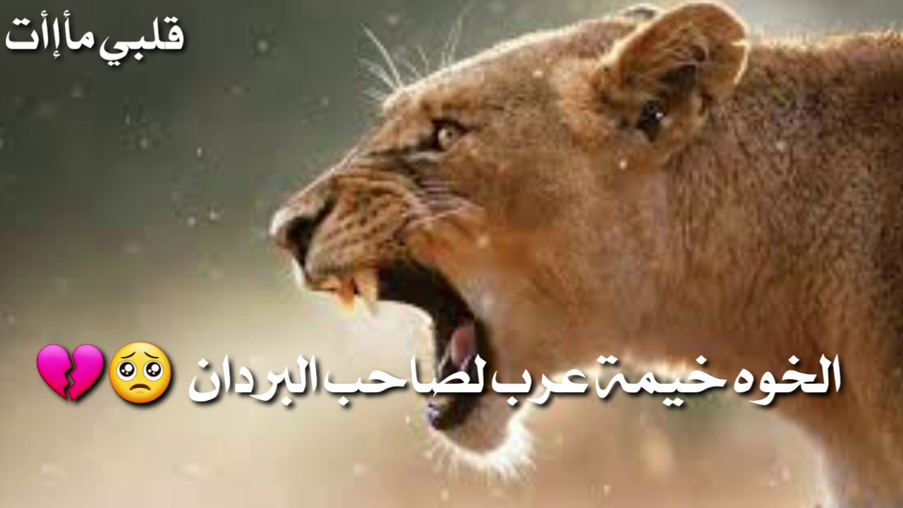 شعر عن الخوه 1351 7