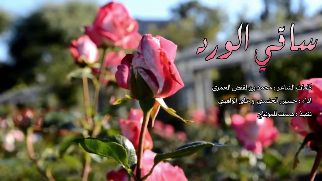 الورد و معانية - كلام عن الورد 6685 5