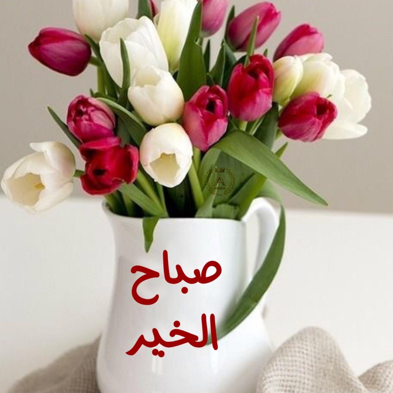 صباح نور 1250 10