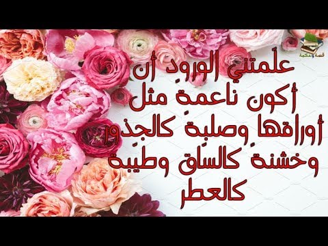 حكم عن الورد - كلام معبر جدا عن الزهور 2819 7