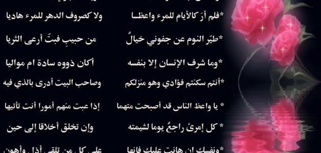 اجمل شعر في العالم - ابيات شعر من الواقع المرير 590 1