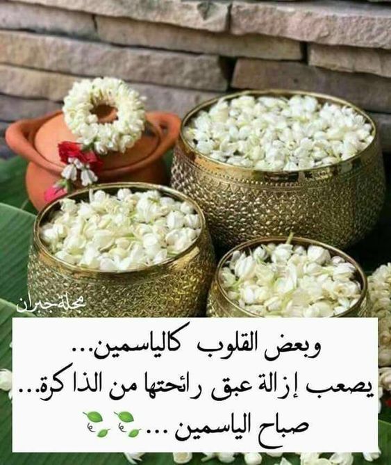 رسالة صباح الخير 452 10