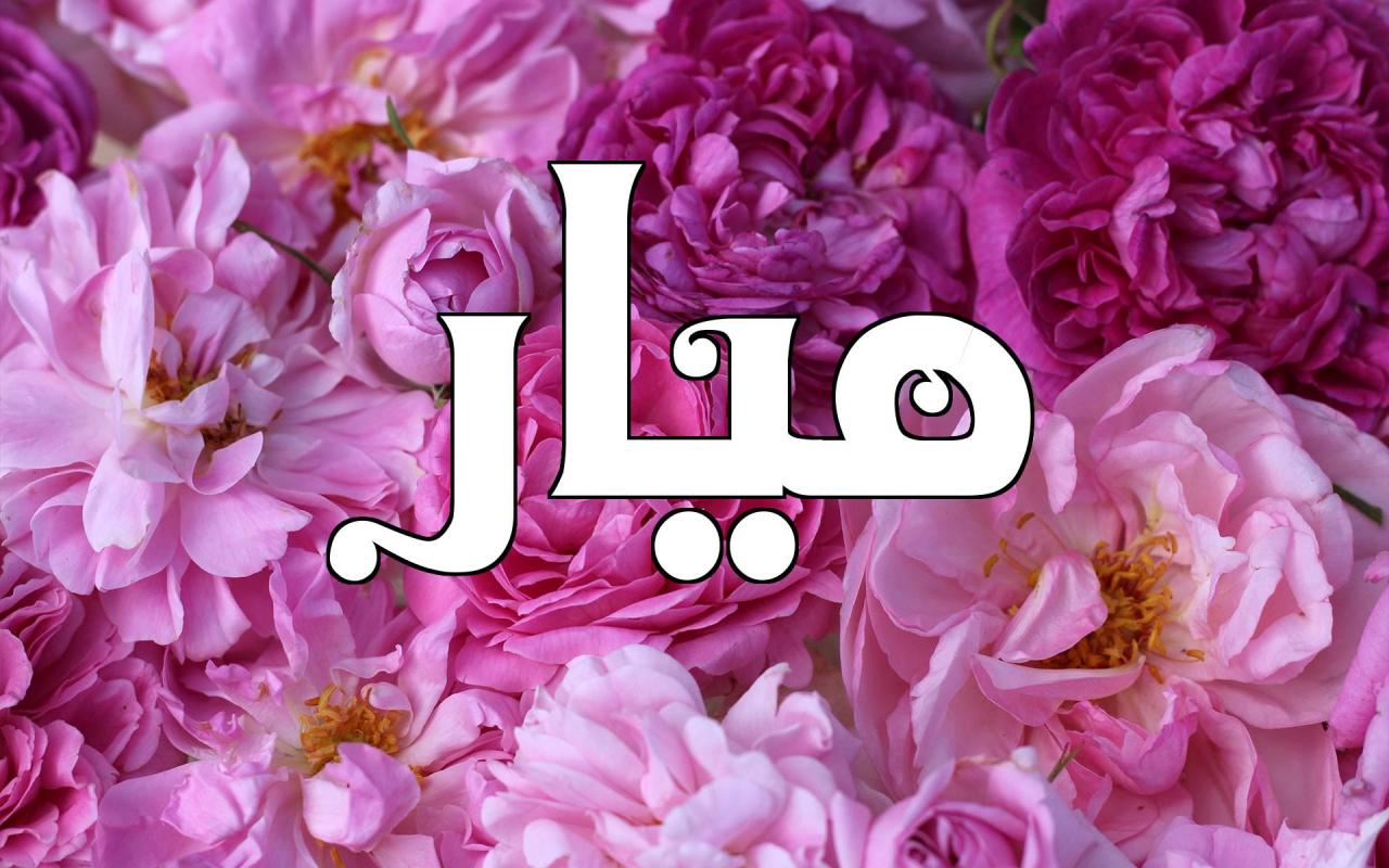 معنى اسم ميار 344