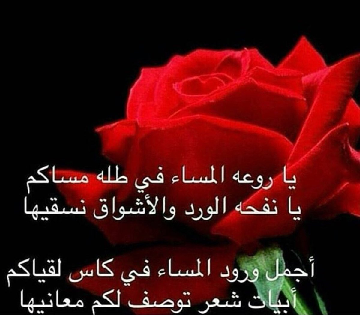 شعر مساء الخير 3380 1