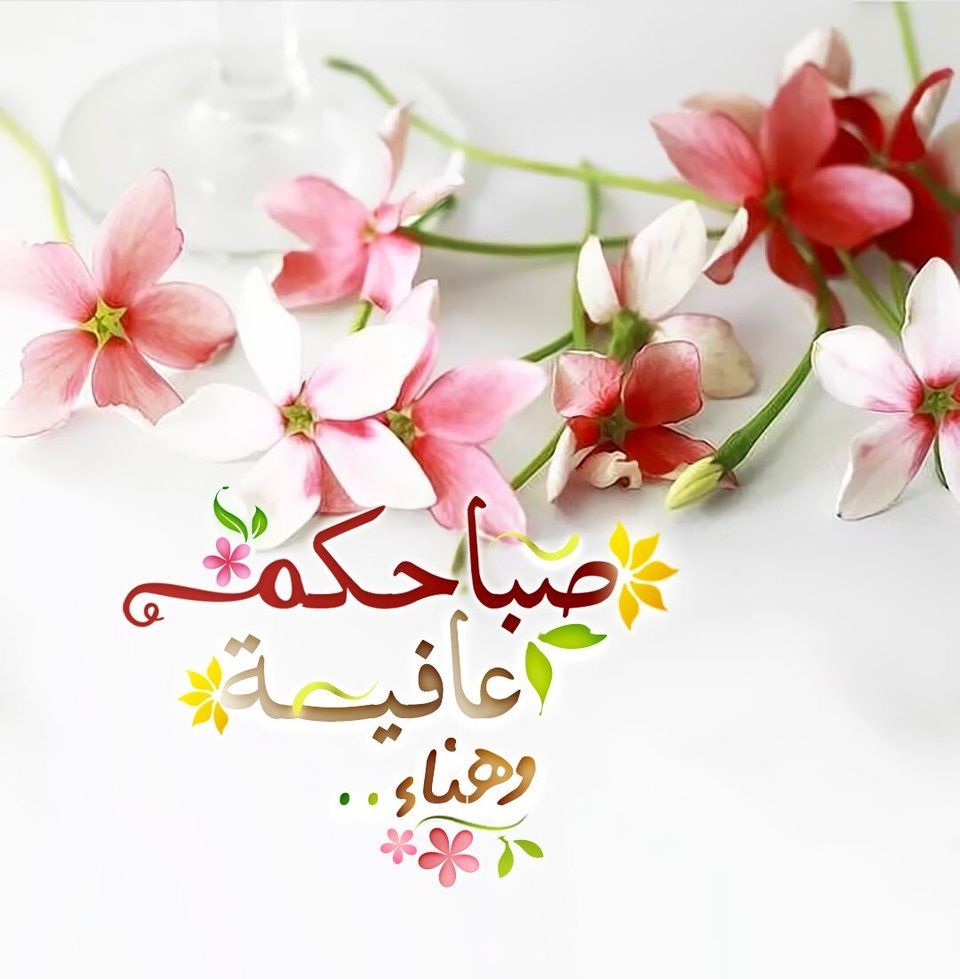 صباح نور 1250 11