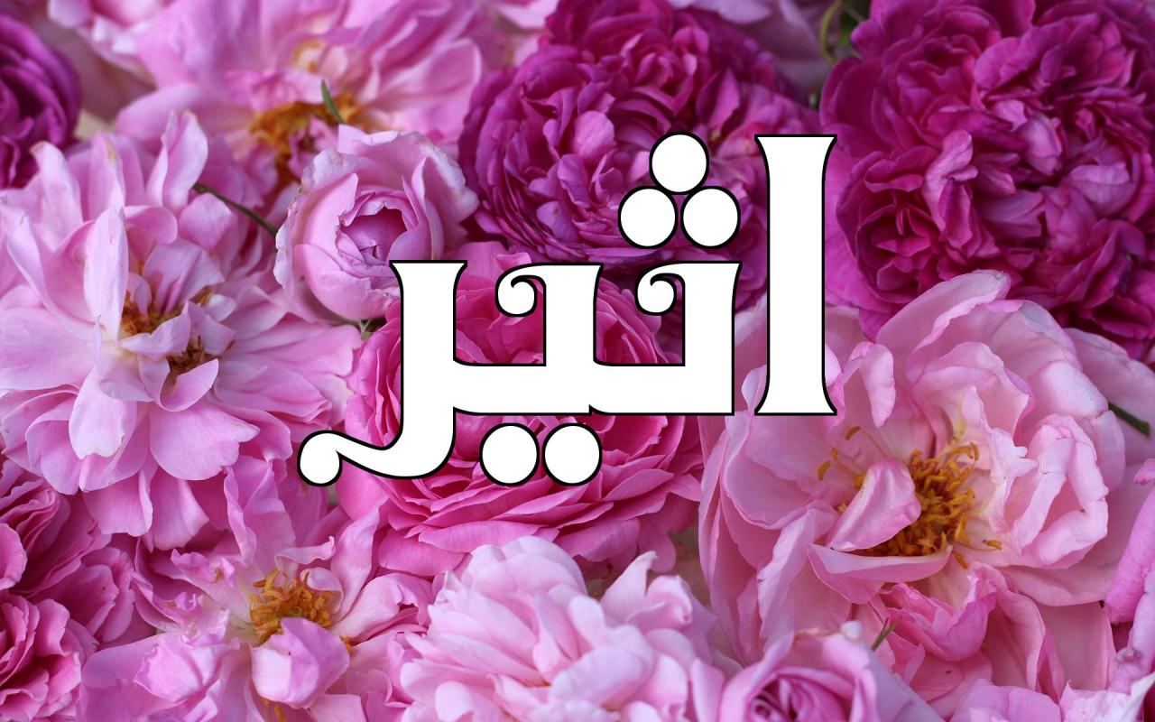 معنى كلمة الاثير 6902 1