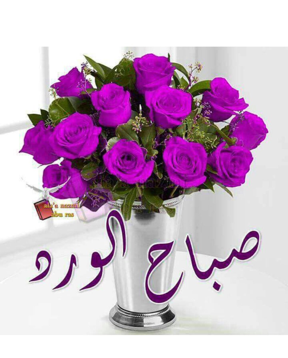 صباح نور 1250 12