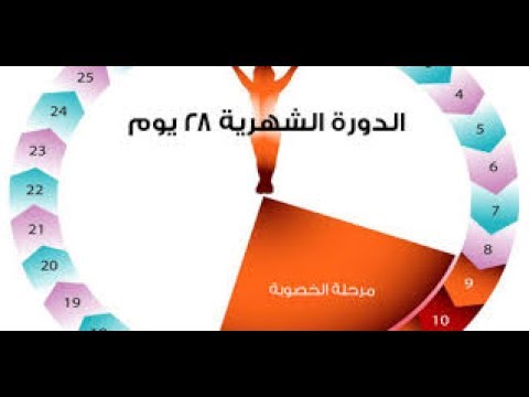 افضل وقت للحمل - معلومه تهم المراه بشده 765 1