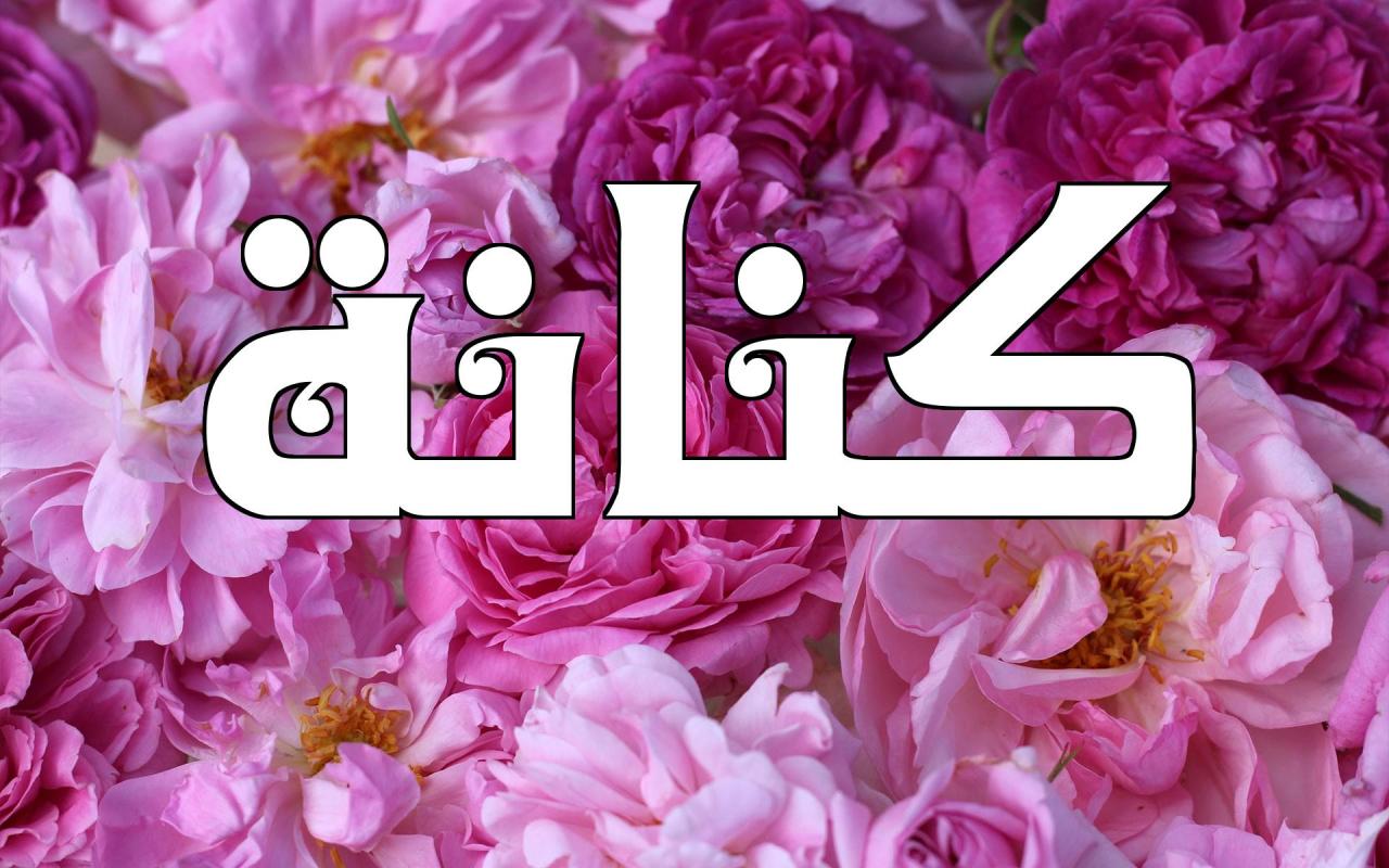 معنى اسم كنانة - صفات ارض الكنانة 7484