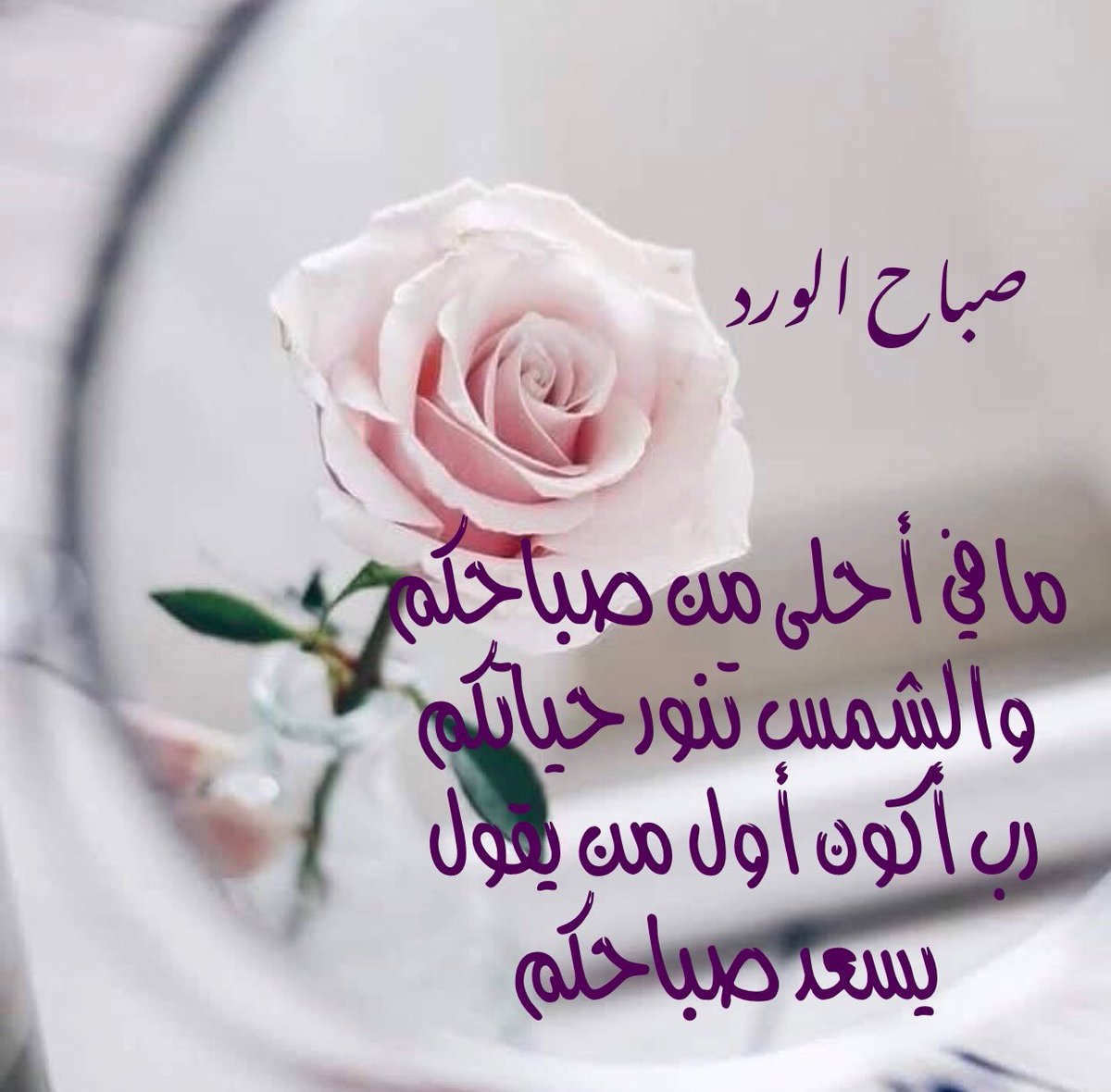 رسائل صباح الحب 295 7