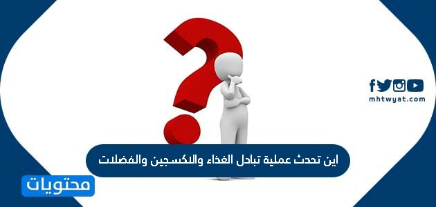 اين تحدث عملية تبادل الغذاء، مكان حدوث عمليات التبادل الغذاء 13021