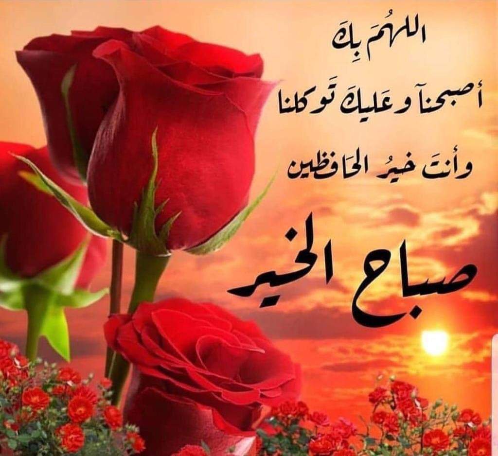 صباح نور 1250 3