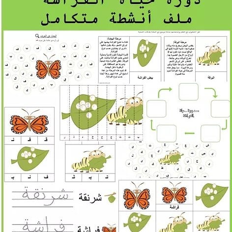 دورة حياة الفراشة بالرسم - معلومات عن نمو الفراشة 6820 2