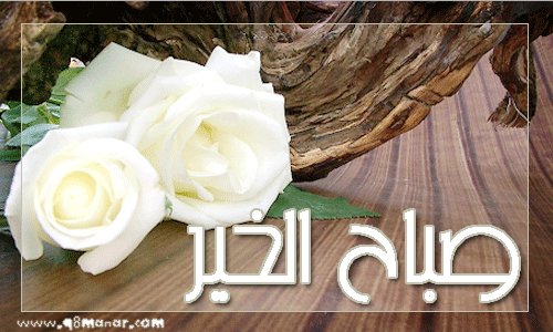 صور صباح النور - افضل صور صباح الخير 3731 3