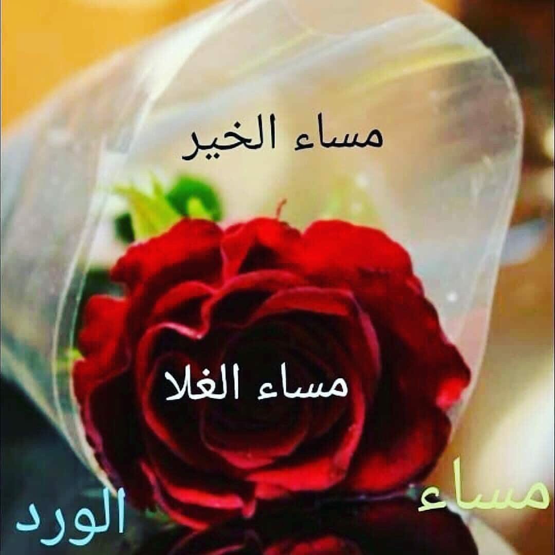 مساء الخير كلمات 2352 11