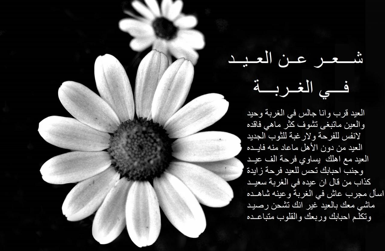 شعر عن الغربة 2607 7