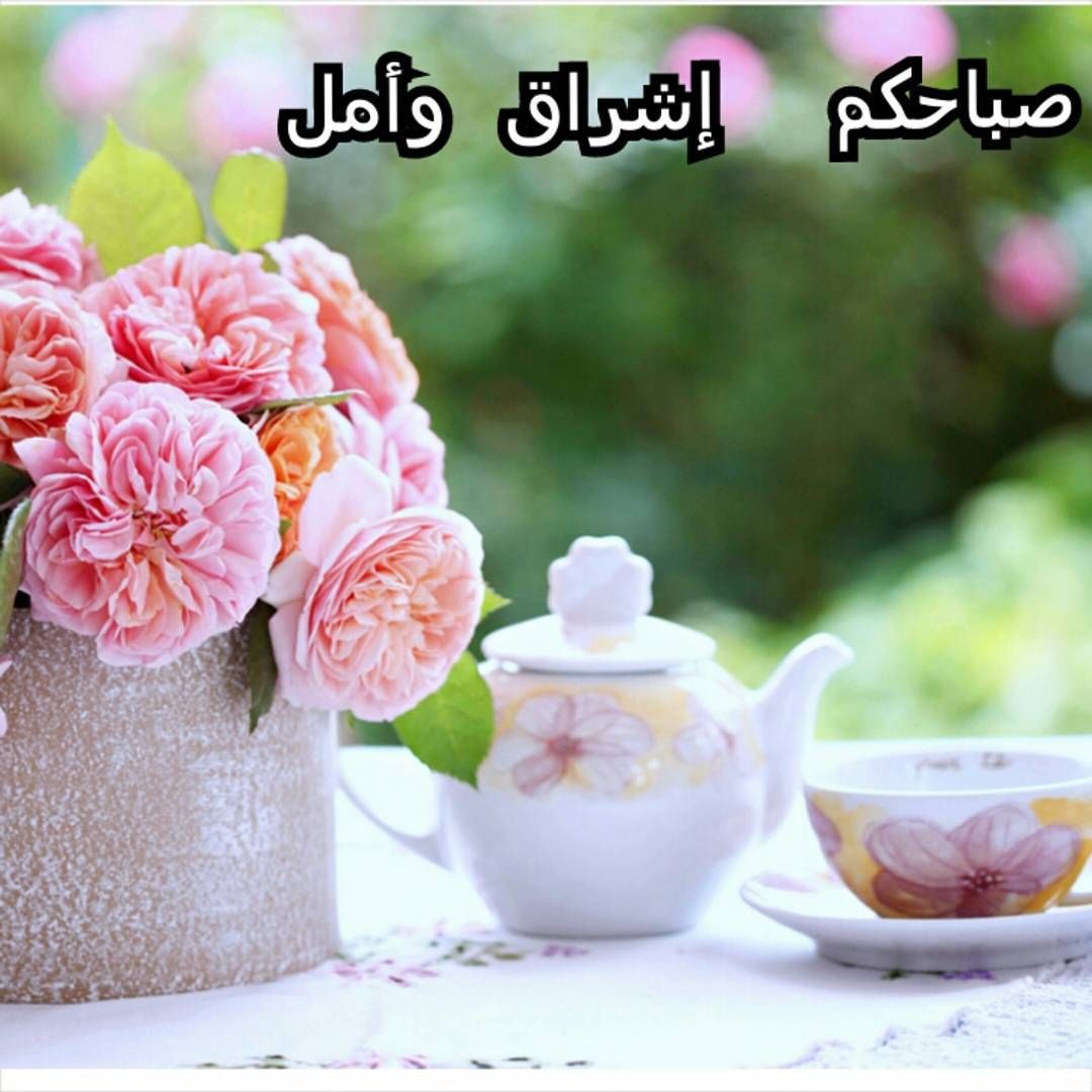 صباح ال - اجمل صباح الورد 947 2