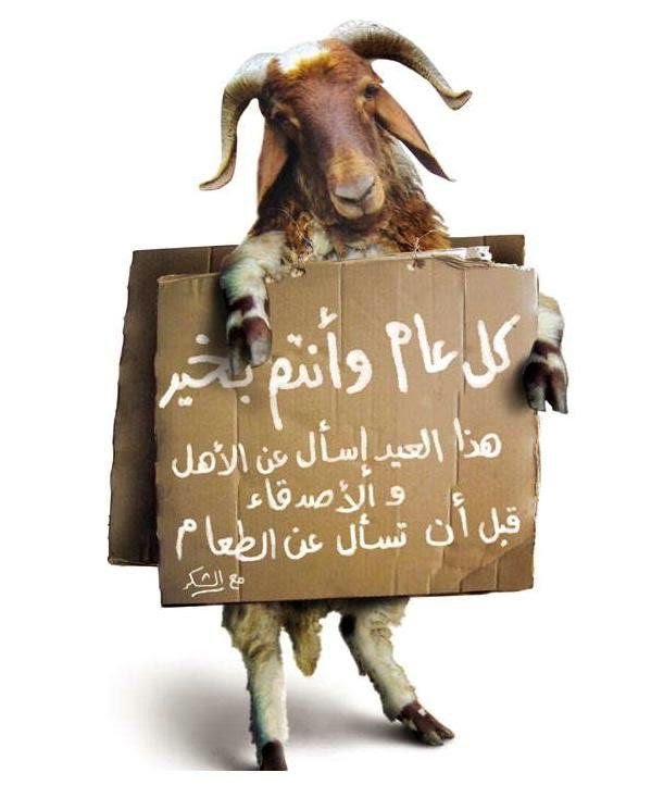 صوره عيد الاضحى - العيد الكبير عن الامة الاسلامية 6858 10