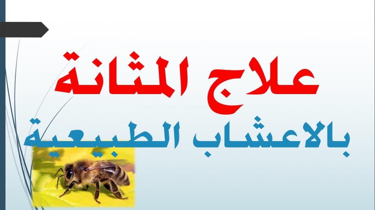 علاج كثرة التبول بالاعشاب 1291 1