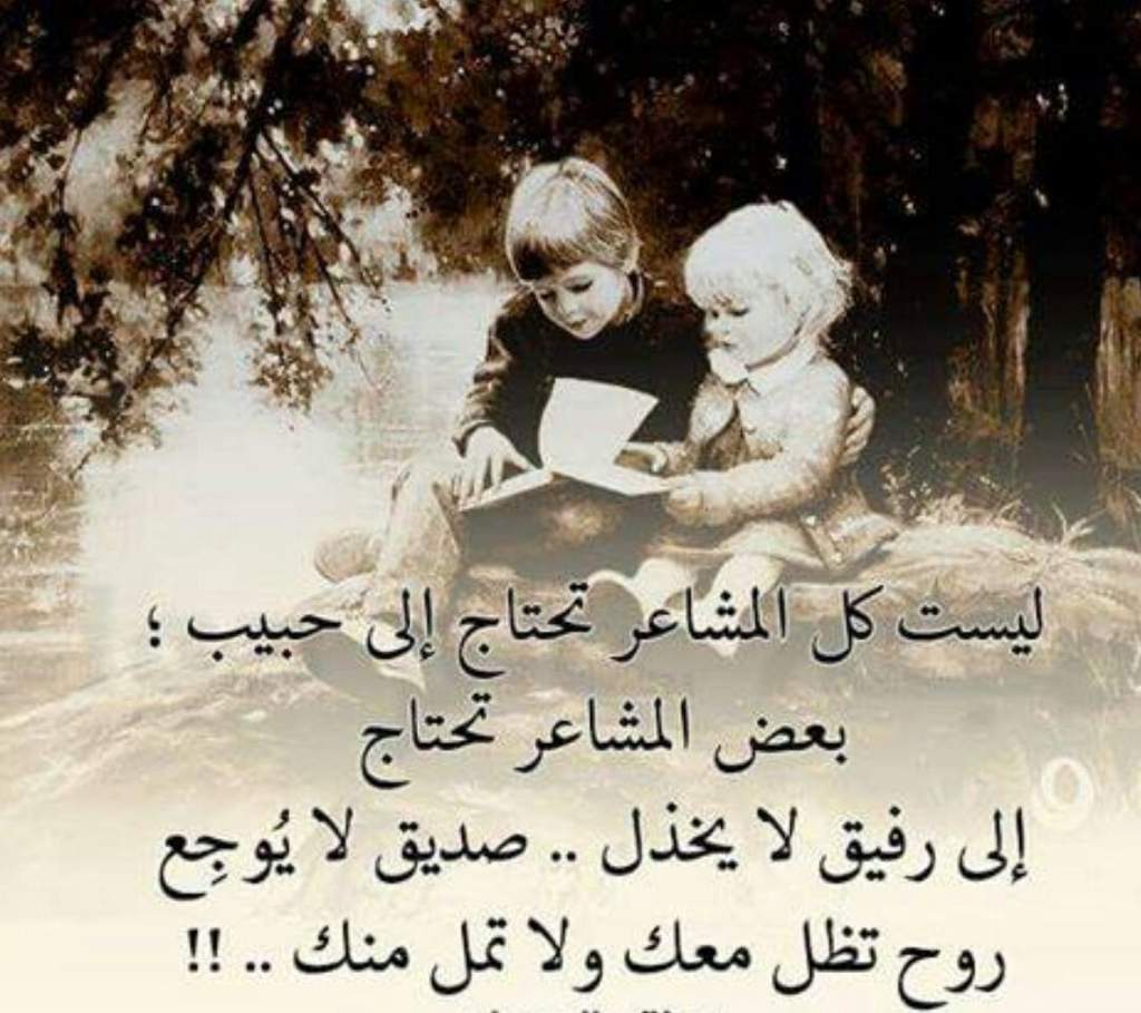 كلمات عن الصداقة 2583 8