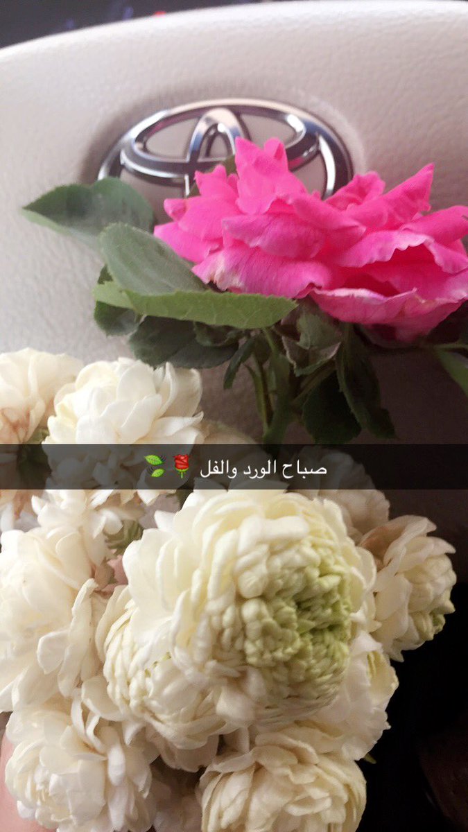 تويتر مساء الخير 2474 7