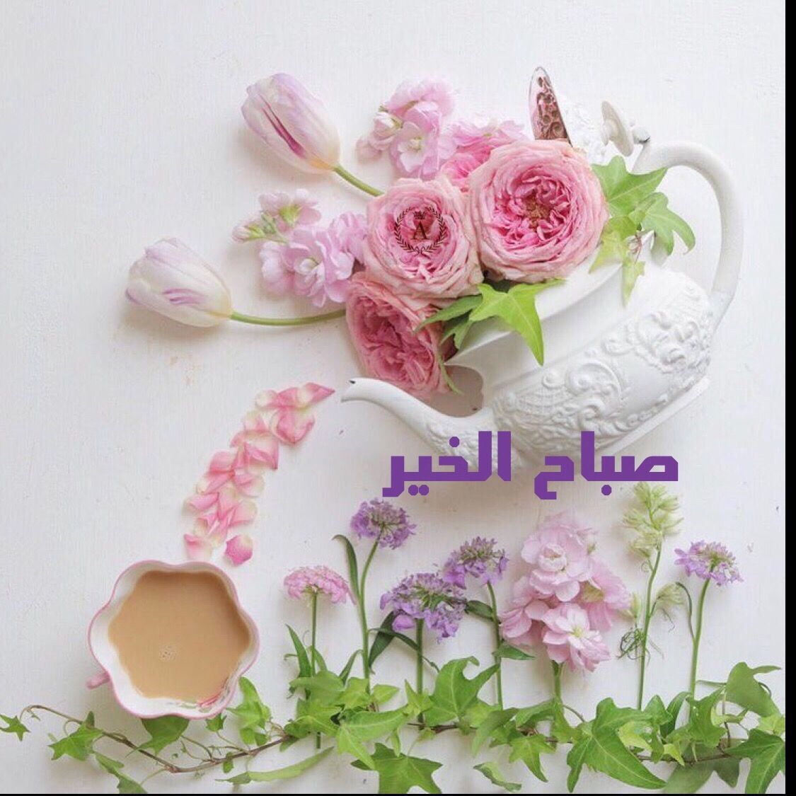 رمزيات صباح الخير 1365 7