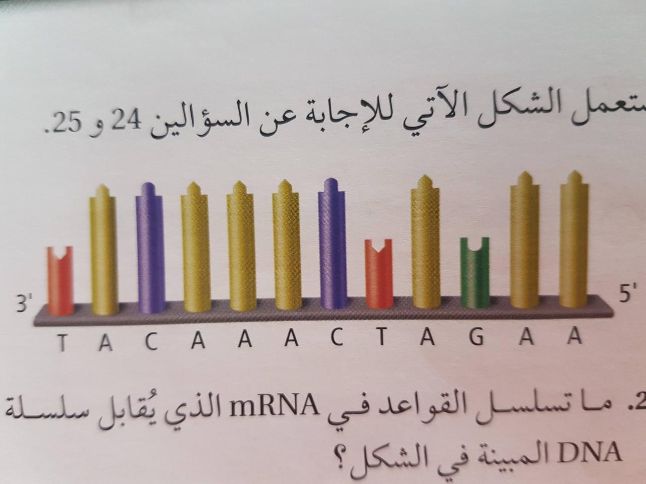 عروض النهدي الجمعه البيضاء , يانهار جميل ع العروض الروعه