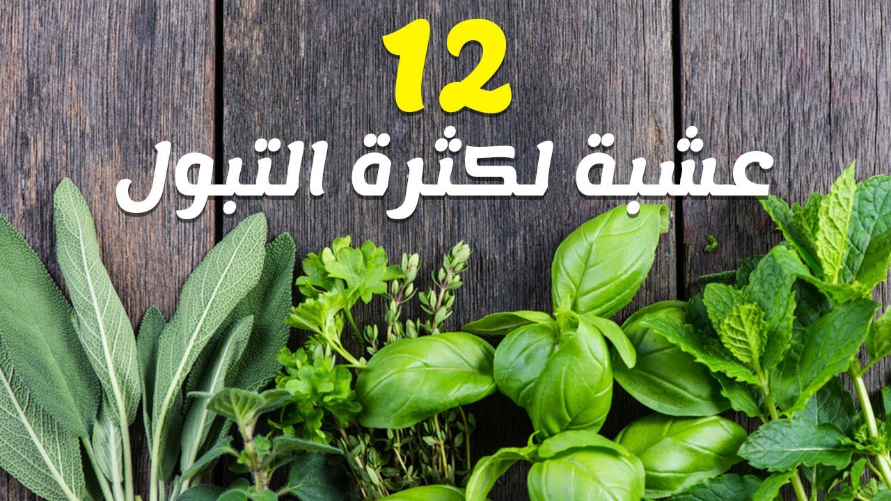 علاج كثرة التبول بالاعشاب 1291