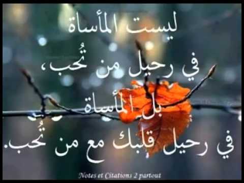 كلمات روعه - من روائع الحكم الصادقه 726 7