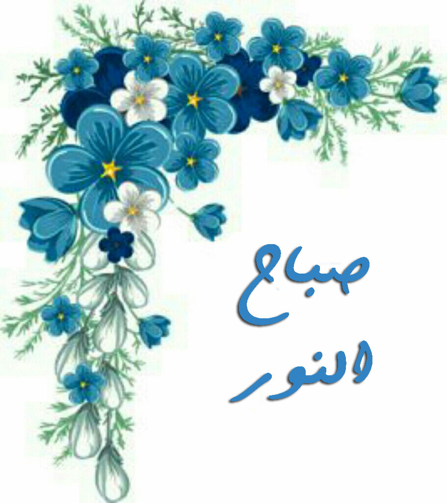 صباح نور 1250 7