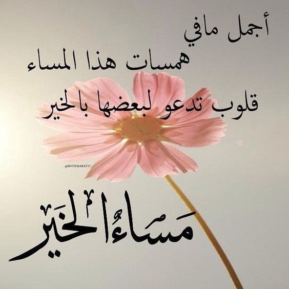 شعر مساء الخير 3380 7