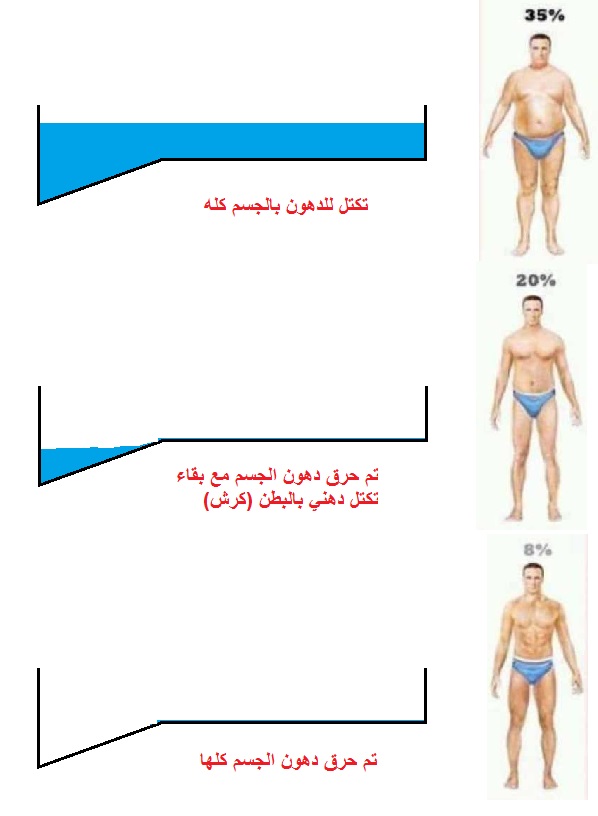 افضل تمرين لحرق الدهون - تعرف علي التمرينات التي يتبعها اصحاب الوزن الزائد 7550 2