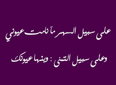 شعر عن النوم 1514 3