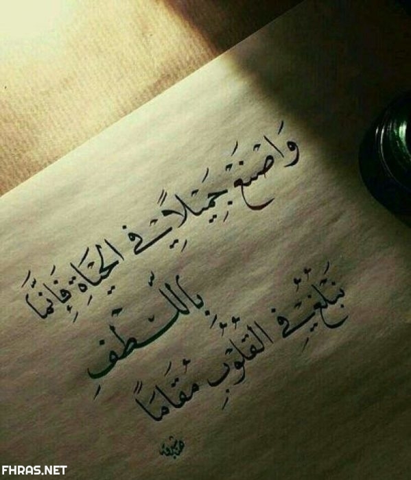 شعر عن الحياة 3362 11