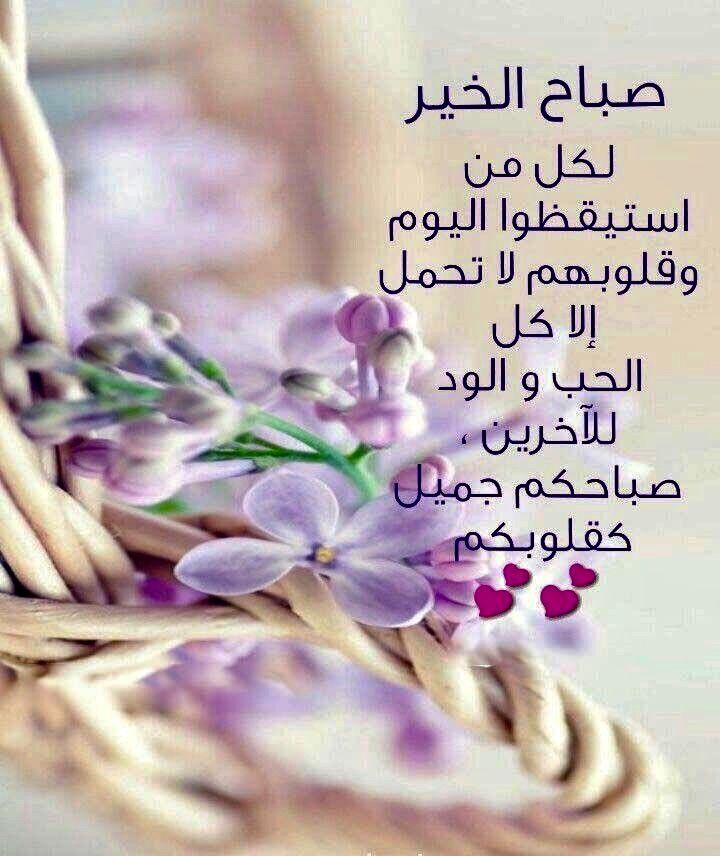 صباح الخير 335 11